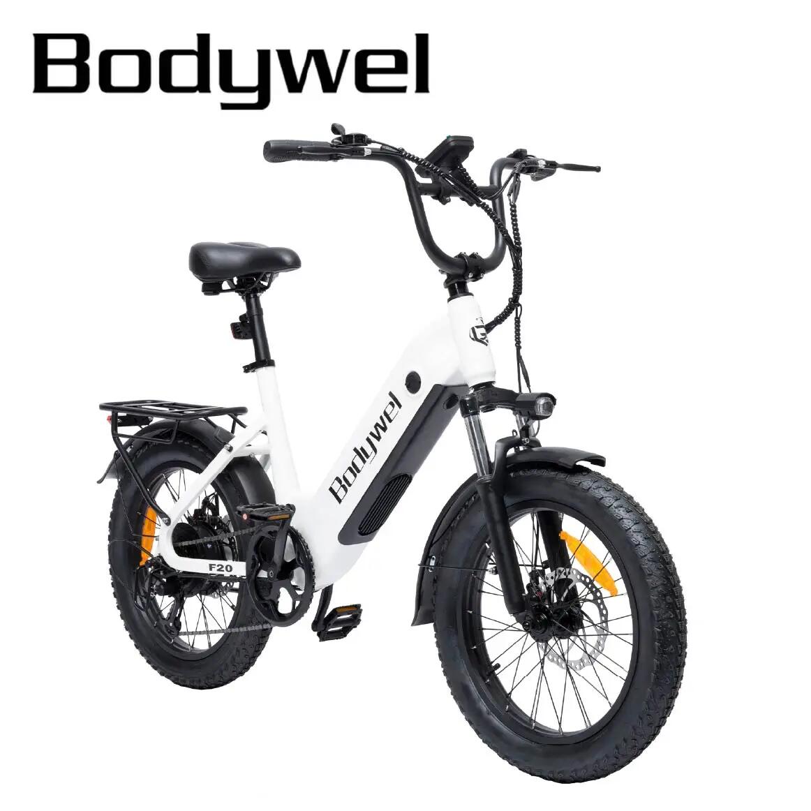 BODYWEL picture