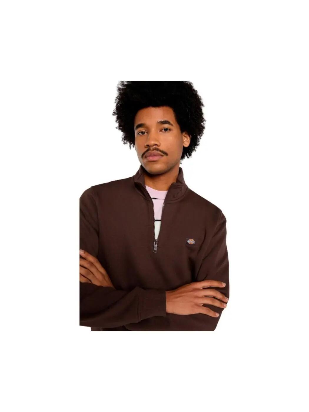 Sweatshirt und Sweatshirt für Herren Dickies Oakport quarter zip Braun. 4/4