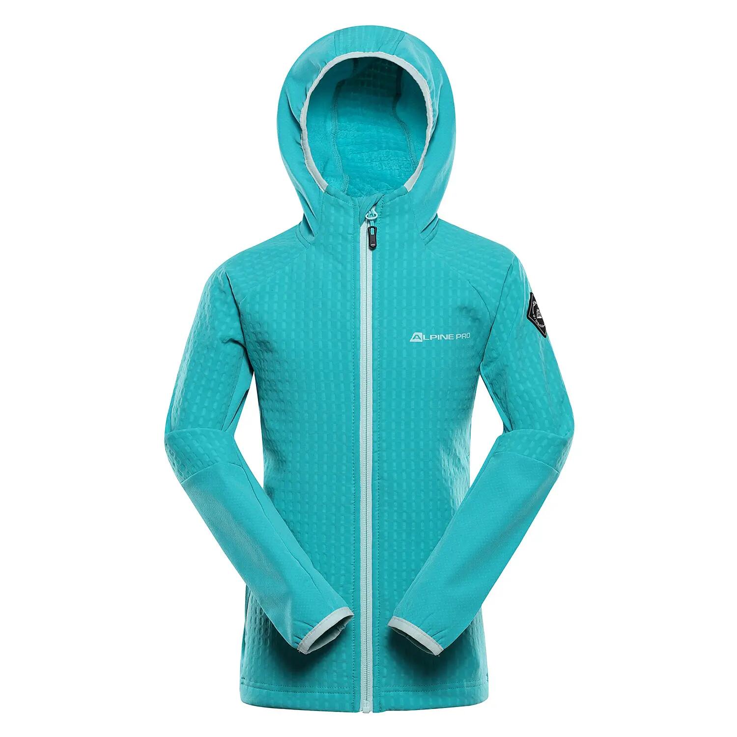 ALPINE PRO picture