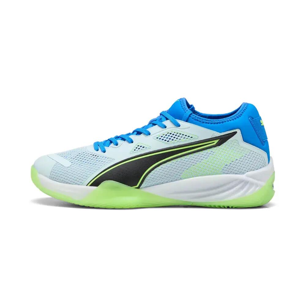 PUMA picture