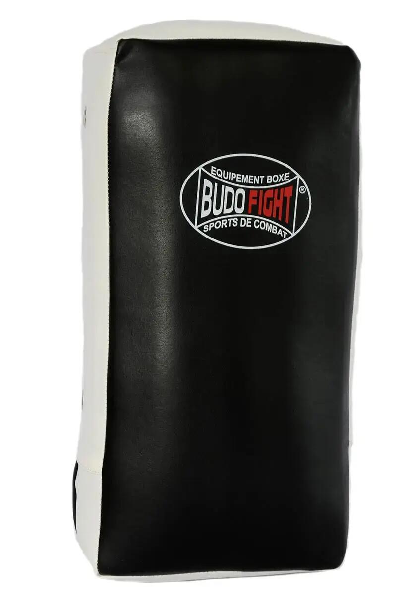 BUDO-FIGHT picture