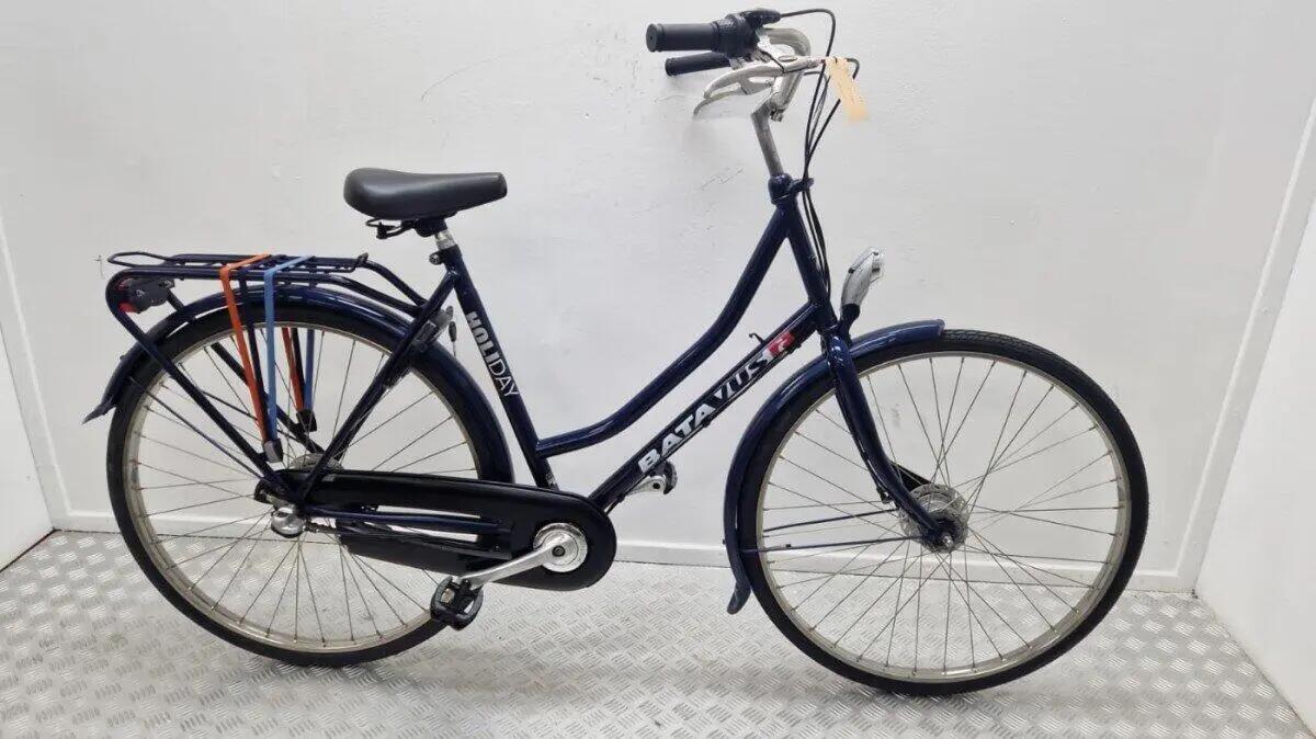 BATAVUS picture