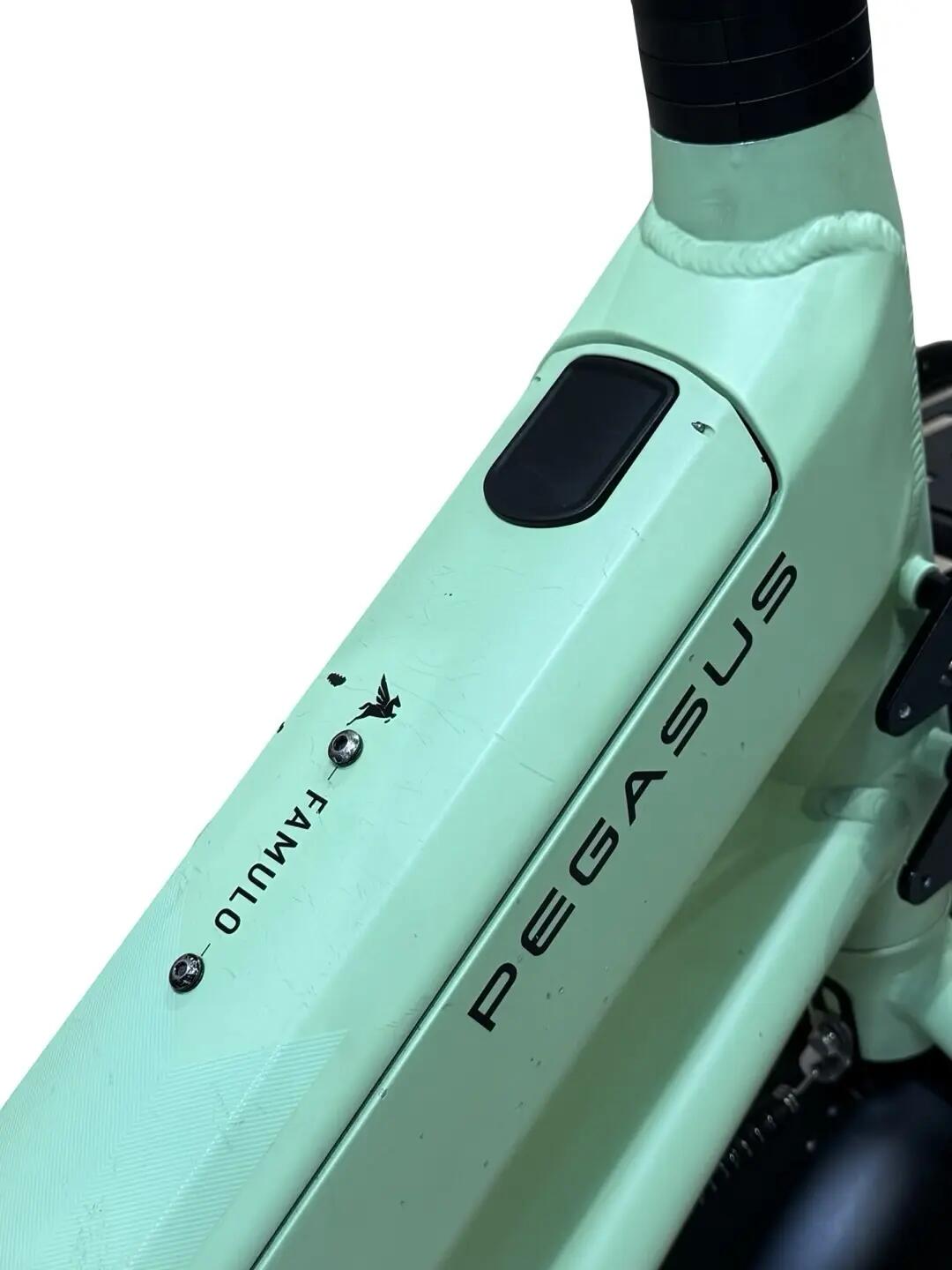 Segunda Vida - Cargobike Pegasus Famulo Shimano- Como nuevo 8/12