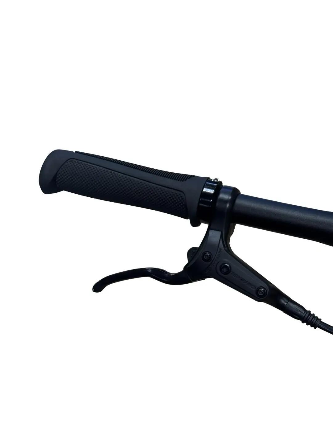 Ricondizionata - Bici elettriche Tenways CGO600 PRO Single-Spe- Stato eccellente 5/11