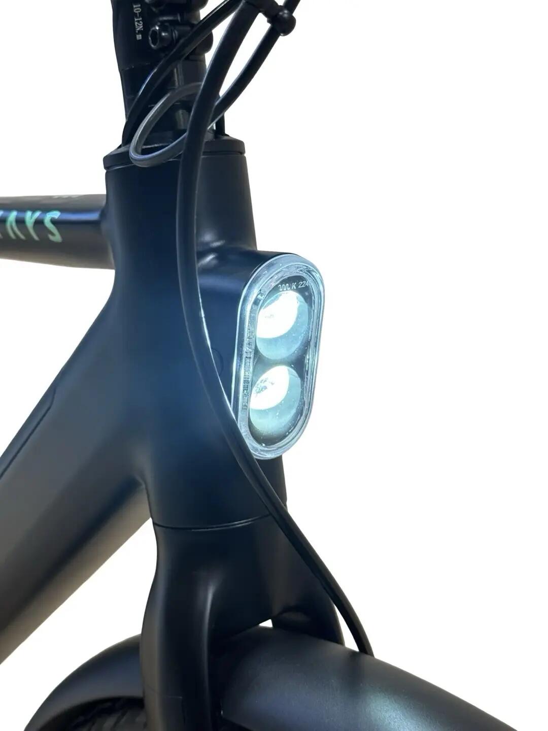 Ricondizionata - Bici elettriche Tenways CGO600 PRO Single-Spe- Stato eccellente 4/11