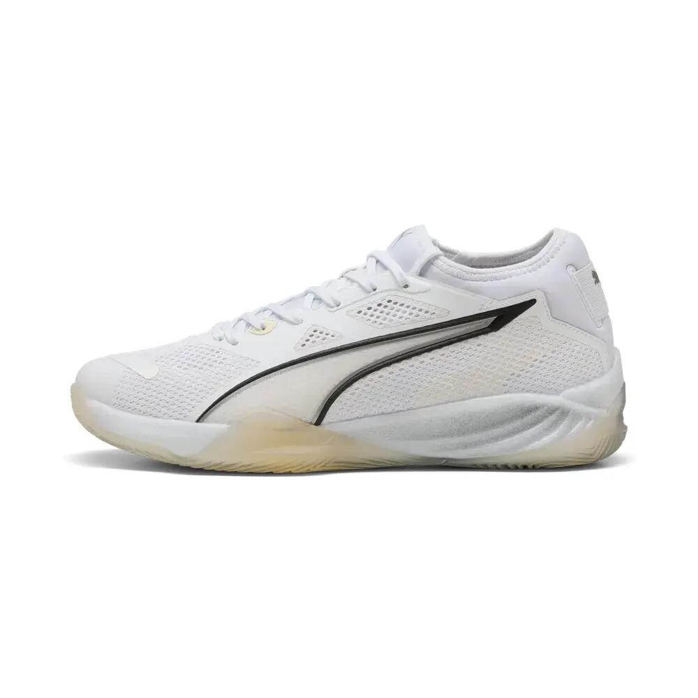 PUMA picture