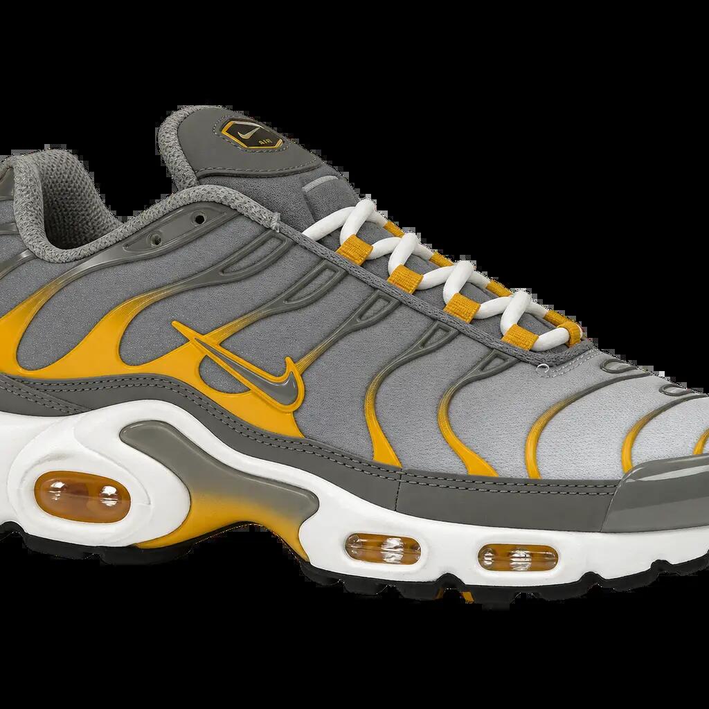 Pánske tenisky Nike Air Max Plus - sivé