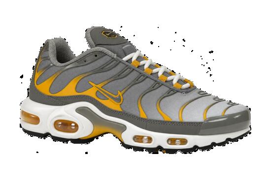 Homme - Baskets - Nike Air Max Plus - Gris