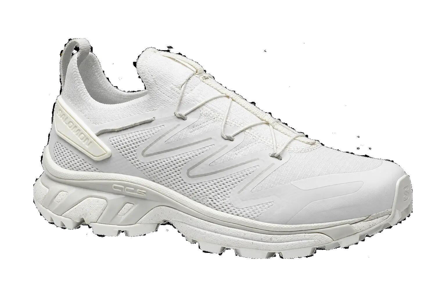 SALOMON picture