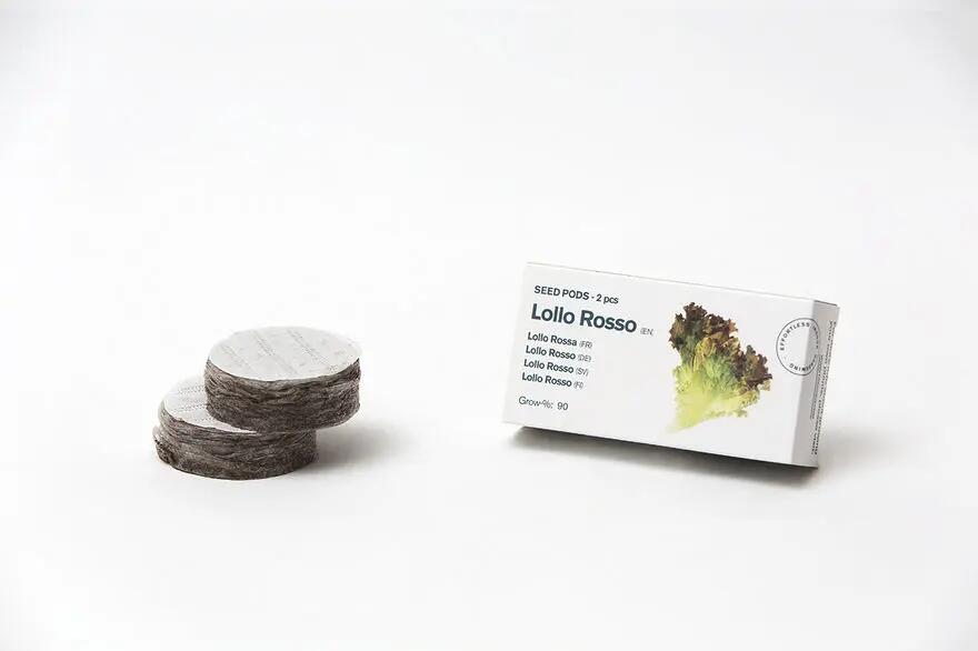Torrões com sementes de alface frisada Lollo Rosso, 2 unidades 2/4