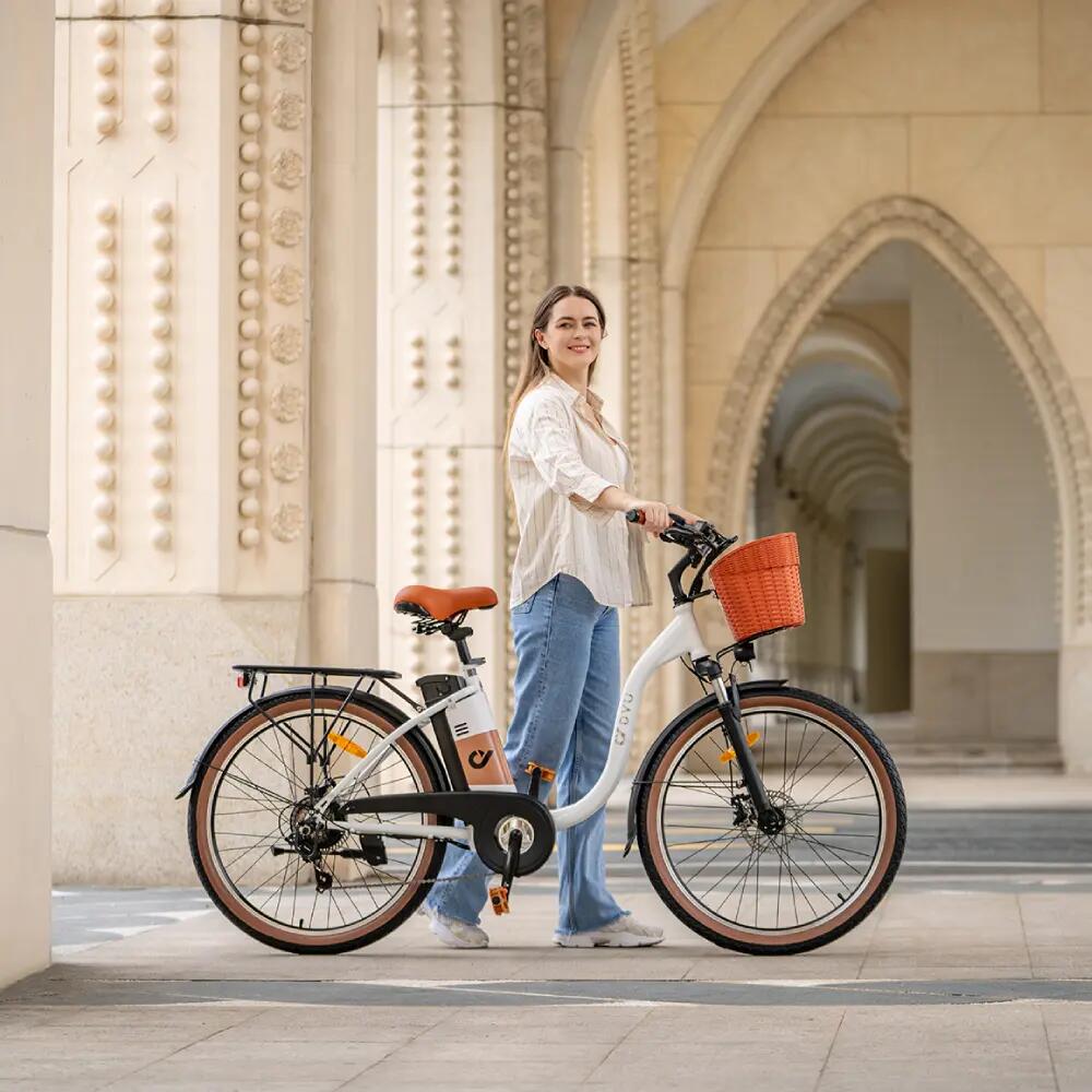 DYU C6 Elektrický bicykel nízký rám 250W 48V 12.5Ah 26" kotúčové brzdy 9/9
