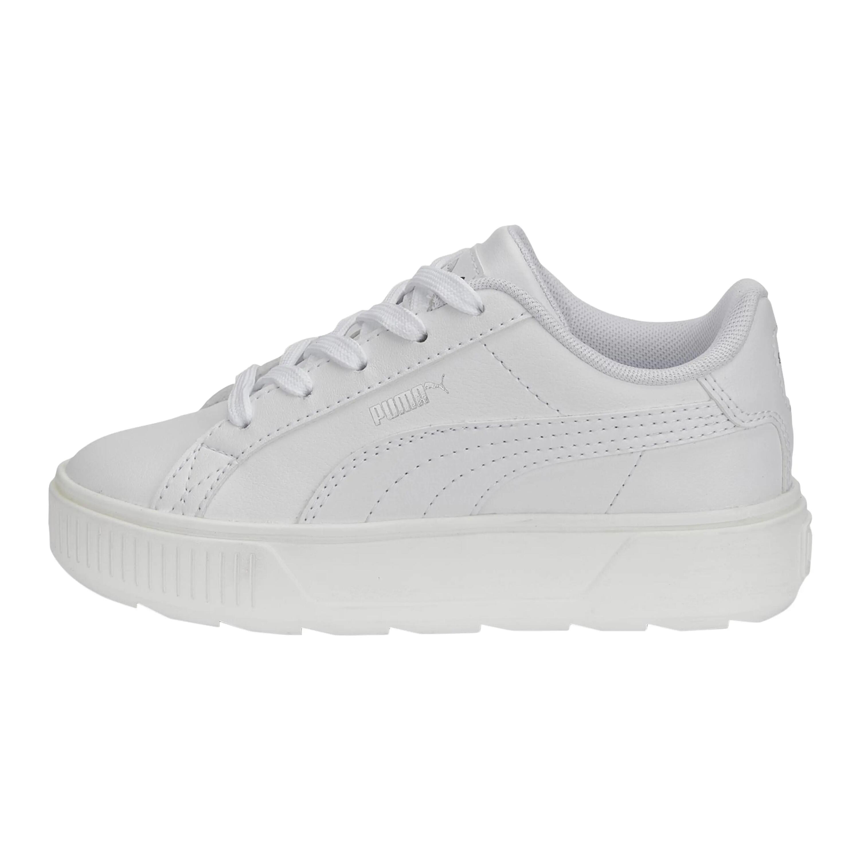 PUMA picture