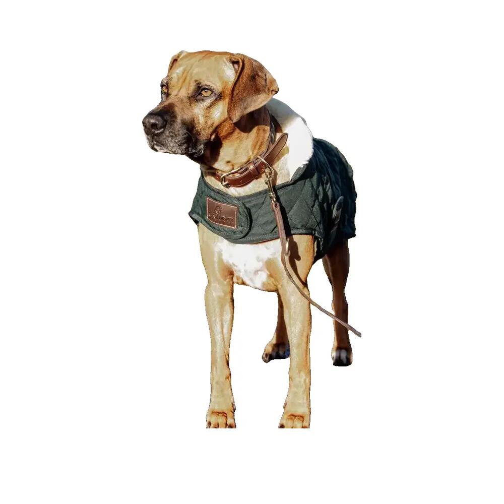 Dog coat Kentucky Original 160g 4/4