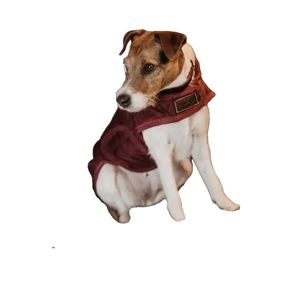 Cappotto per cane Kentucky Original 160g 6/6