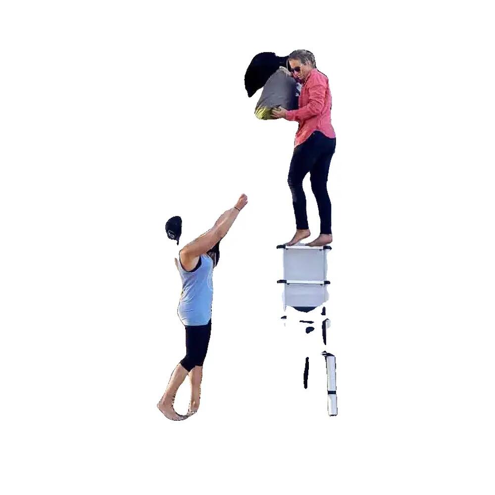 Thule ladder 9 treden met magnetische bevestigingskit 4/5