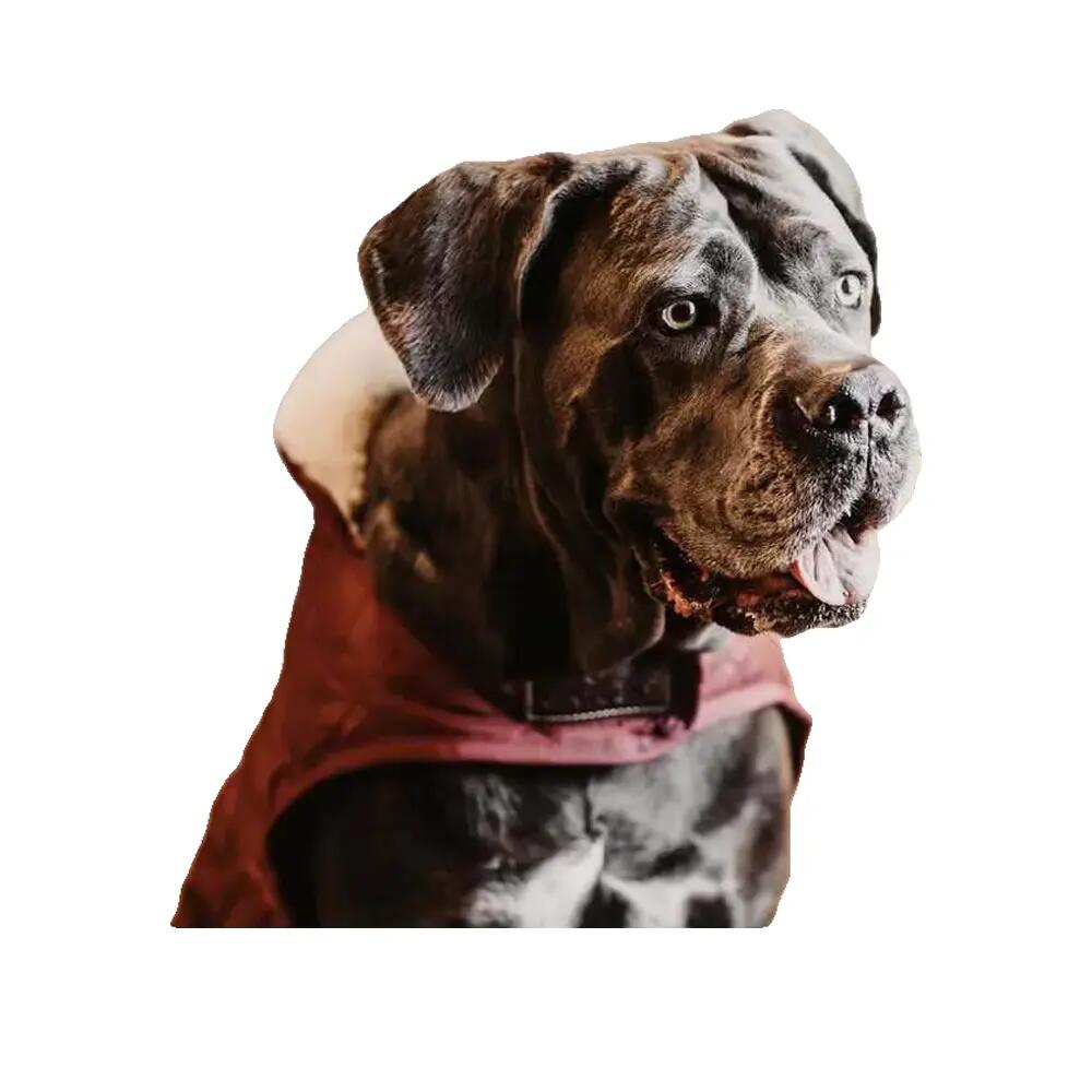 Cappotto per cane Kentucky Original 160g 5/6