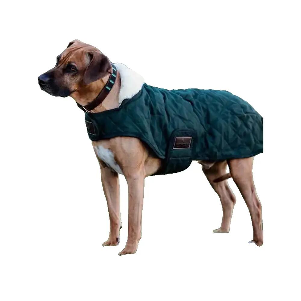 Dog coat Kentucky Original 160g 3/4