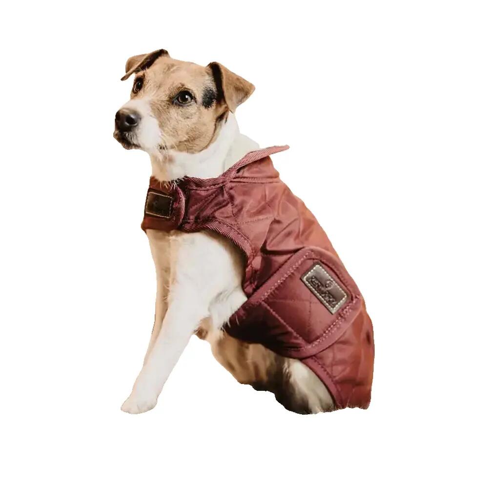 Cappotto per cane Kentucky Original 160g 4/6