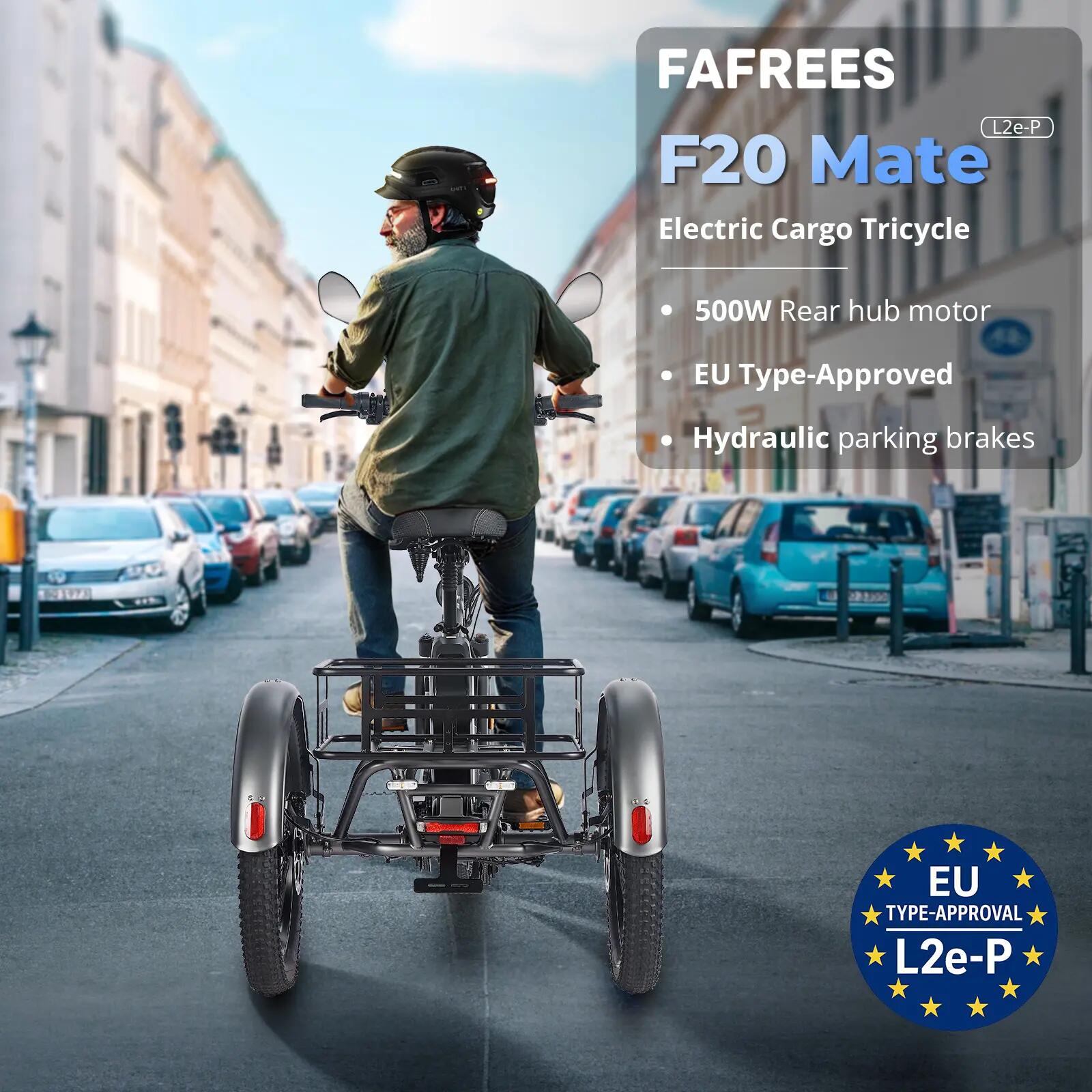 Bicicleta de carga eléctrica FAFREES F20 Mate, motor de 250 W, 48 V 21 Ah 9/15