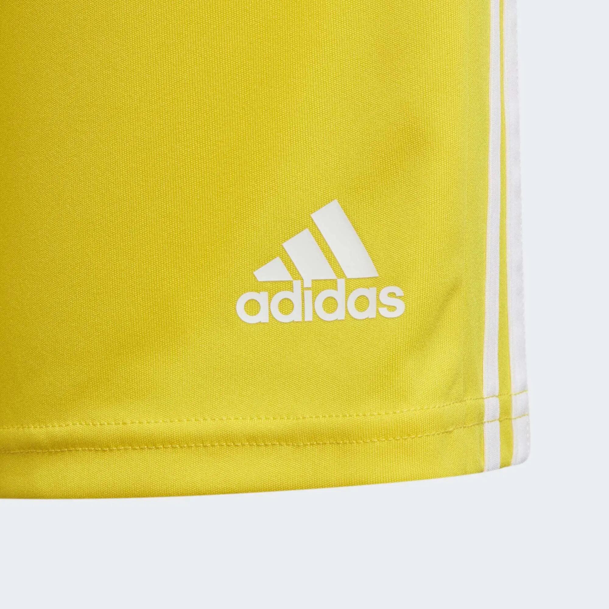 Squadra 21 Shorts 4/6