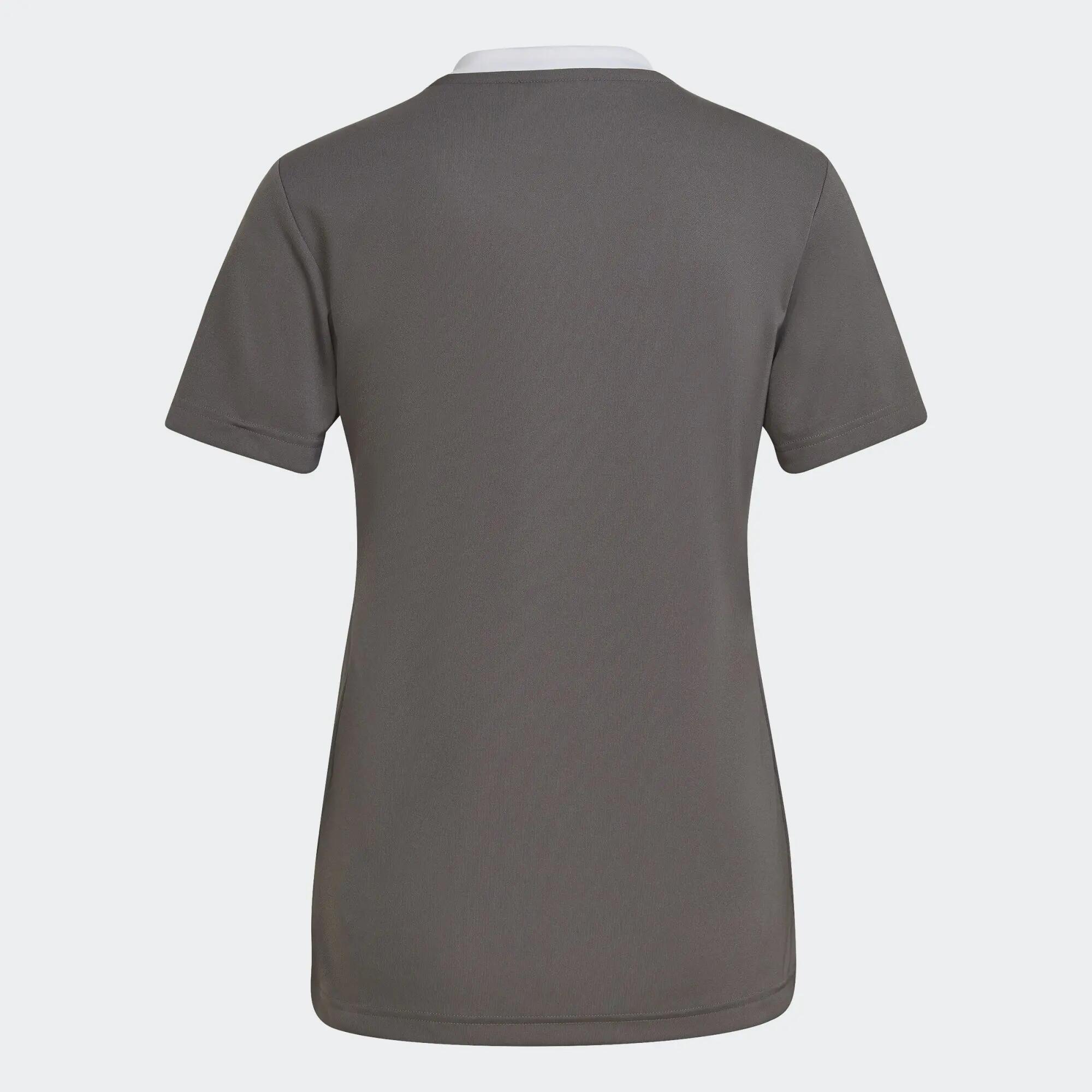 Maillot Entrada 22 2/7