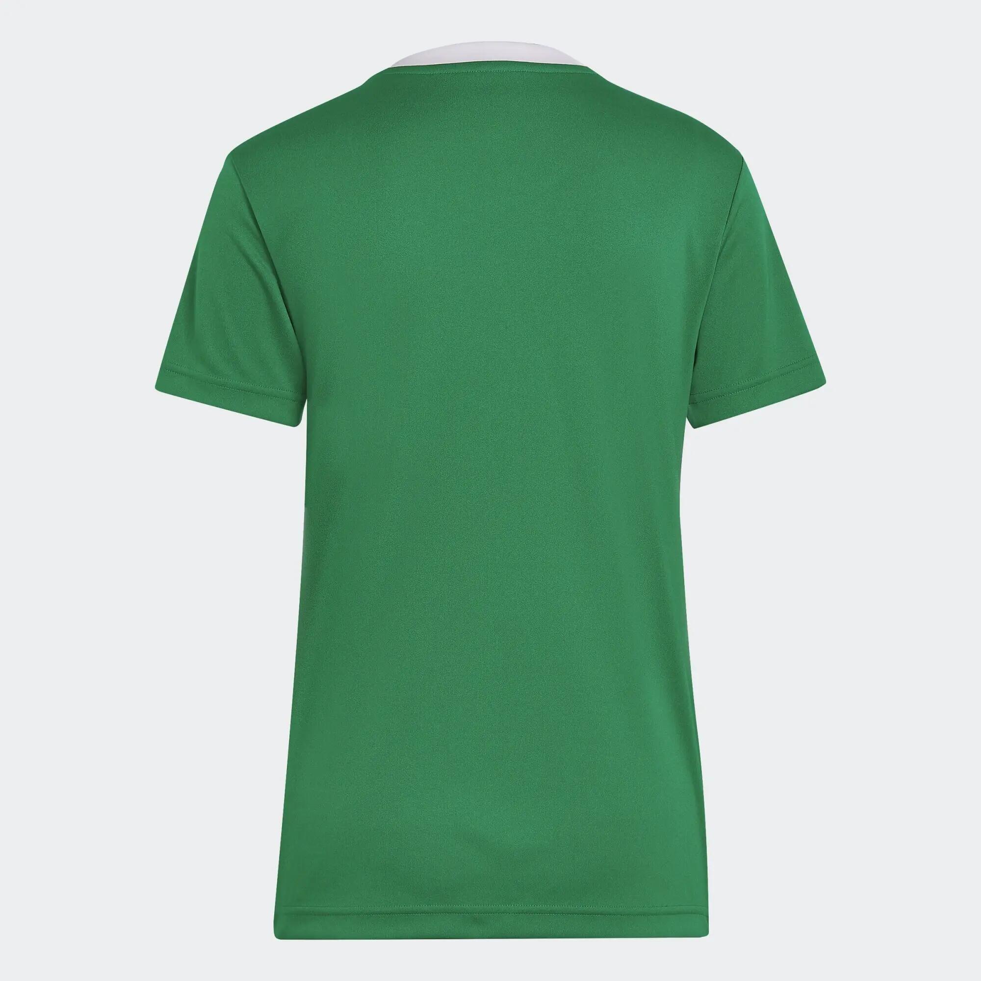 Entrada 22 Jersey 2/8