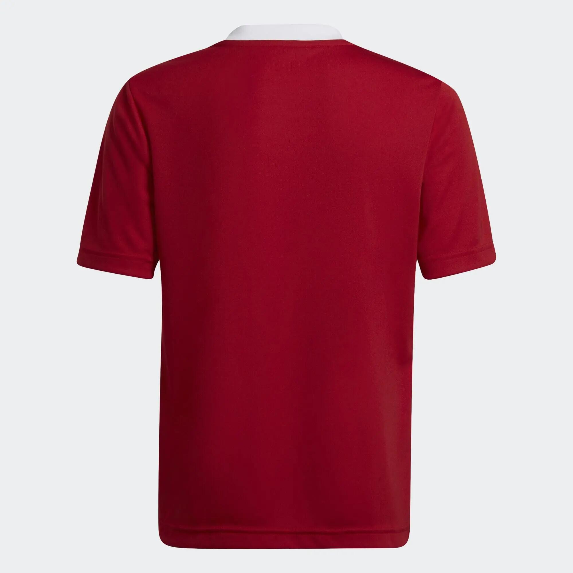 Maglia Entrada 22 3/11