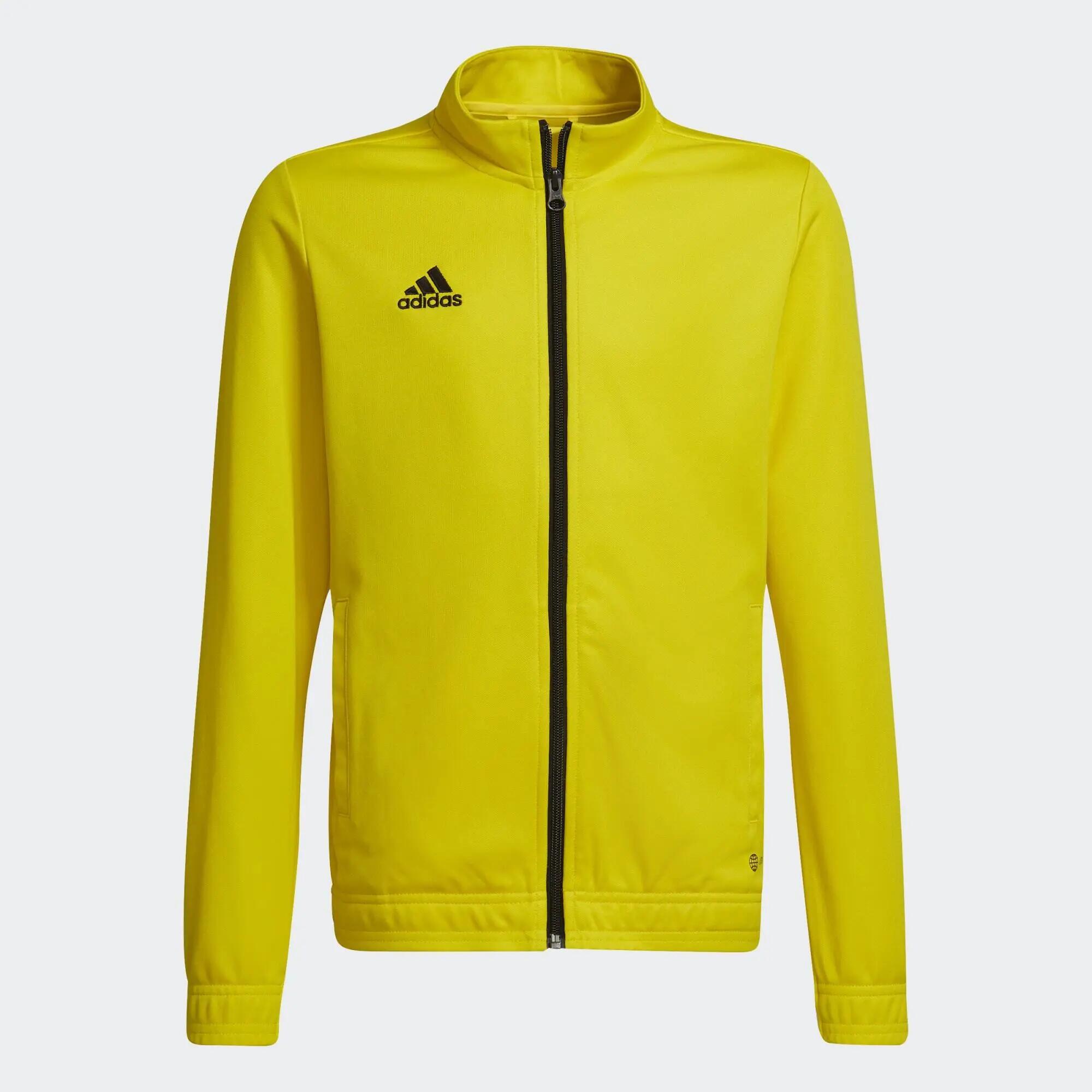 ADIDAS picture