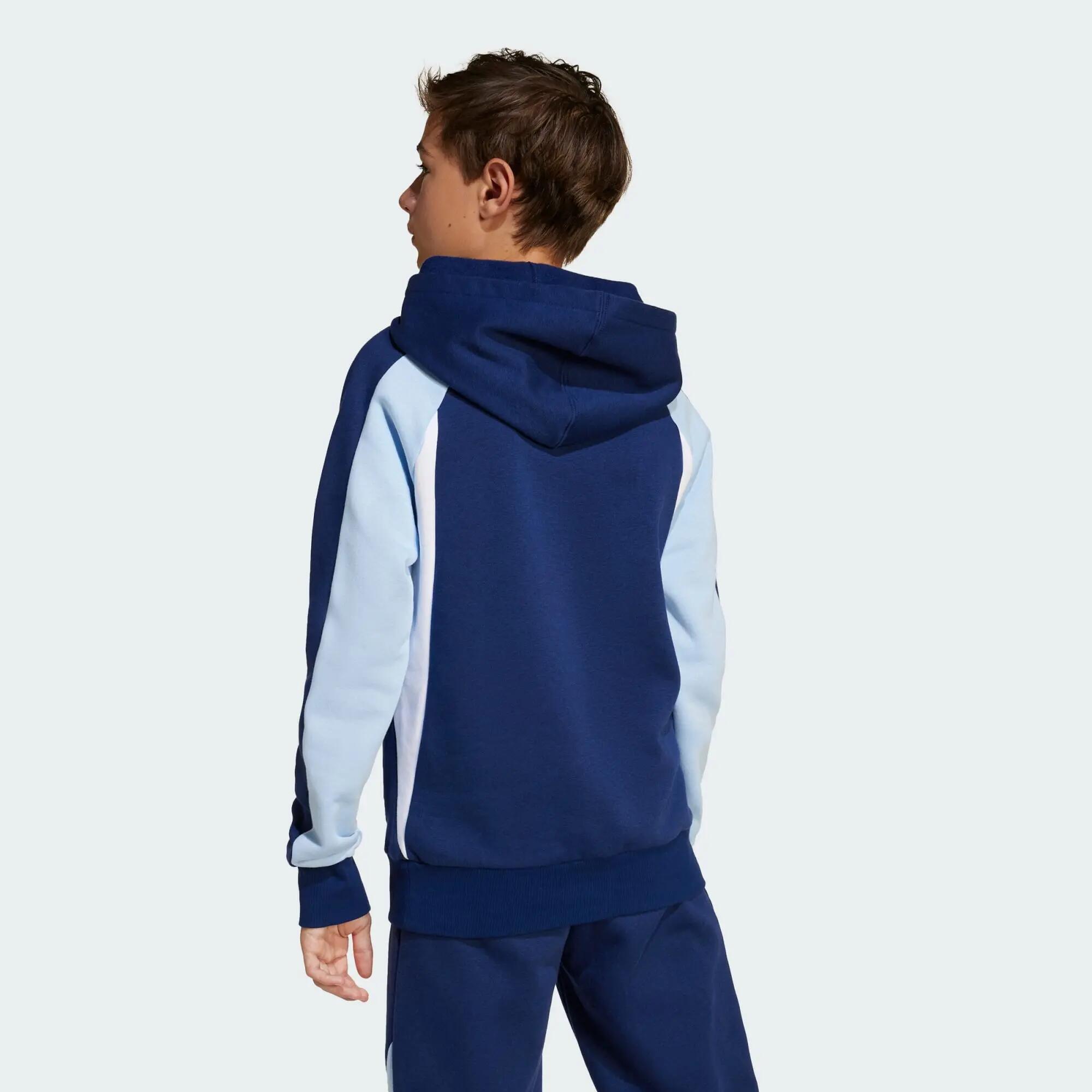 Sweat-shirt à capuche molleton colorblock Seasonal Essentials Enfants 3/5