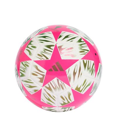 Uefa champions league final club voetbal
