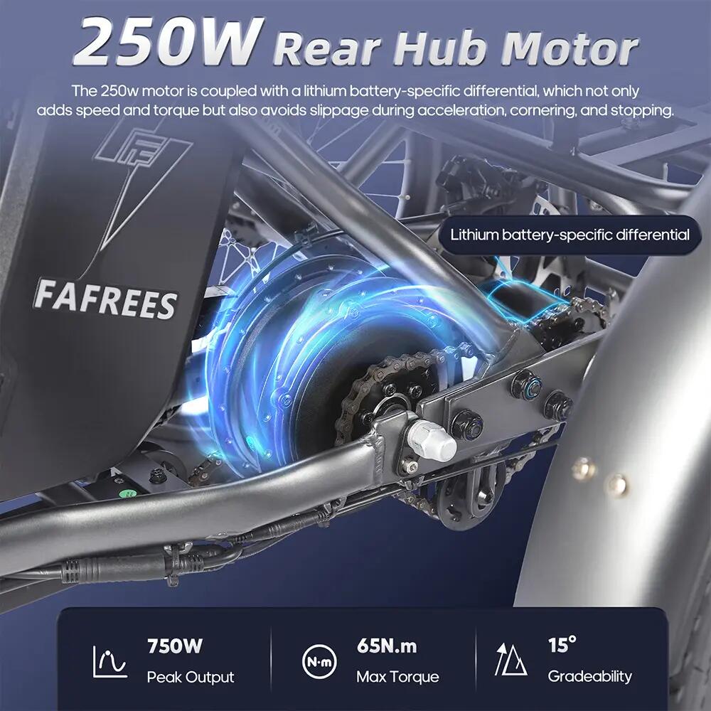 Bicicleta eléctrica Caogo Fafrees F20 Mate de 20", motor de 250 W, 48 V, 20 Ah 9/15