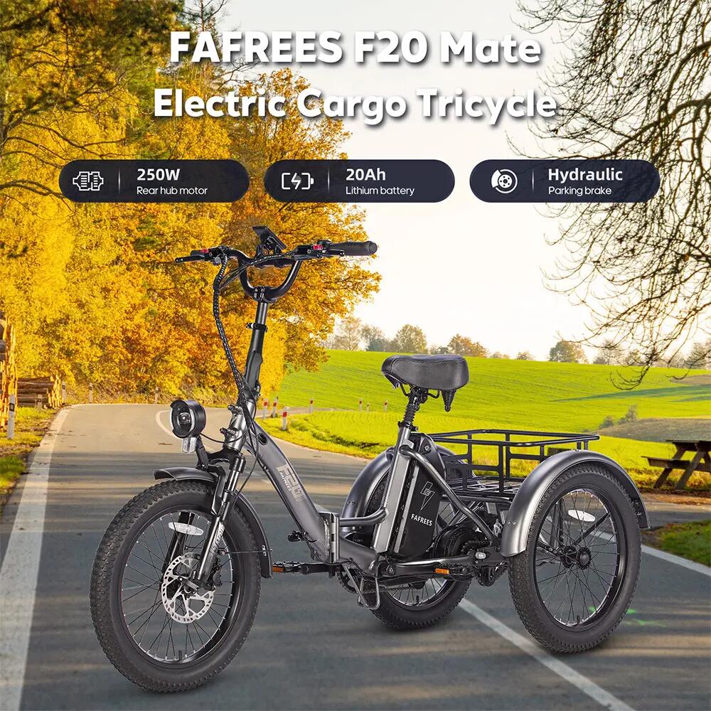 Bicicleta eléctrica Caogo Fafrees F20 Mate de 20", motor de 250 W, 48 V, 20 Ah 8/15