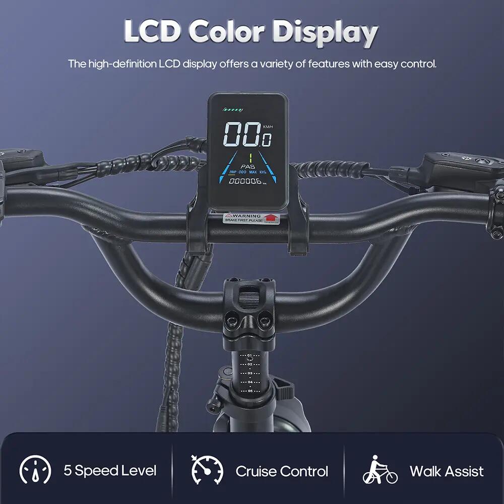 Bicicleta eléctrica Caogo Fafrees F20 Mate de 20", motor de 250 W, 48 V, 20 Ah 11/15