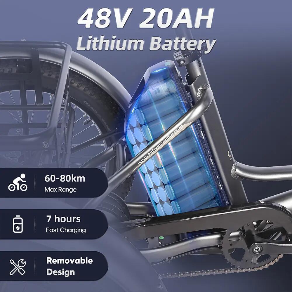 Bicicleta eléctrica Caogo Fafrees F20 Mate de 20", motor de 250 W, 48 V, 20 Ah 10/15