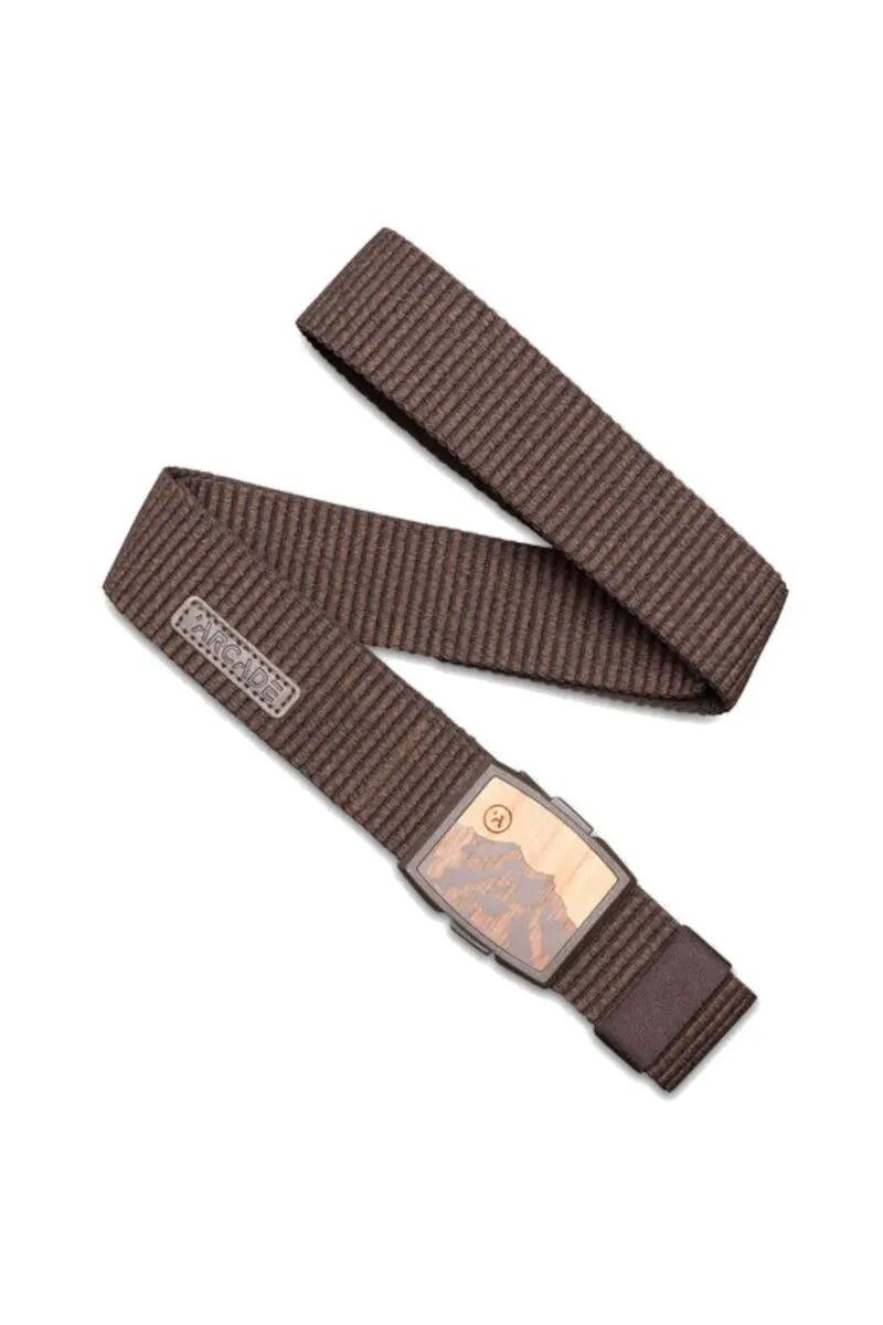 ARCADE picture
