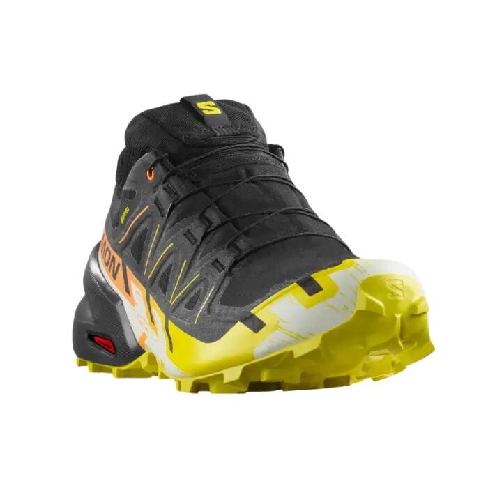 SALOMON picture