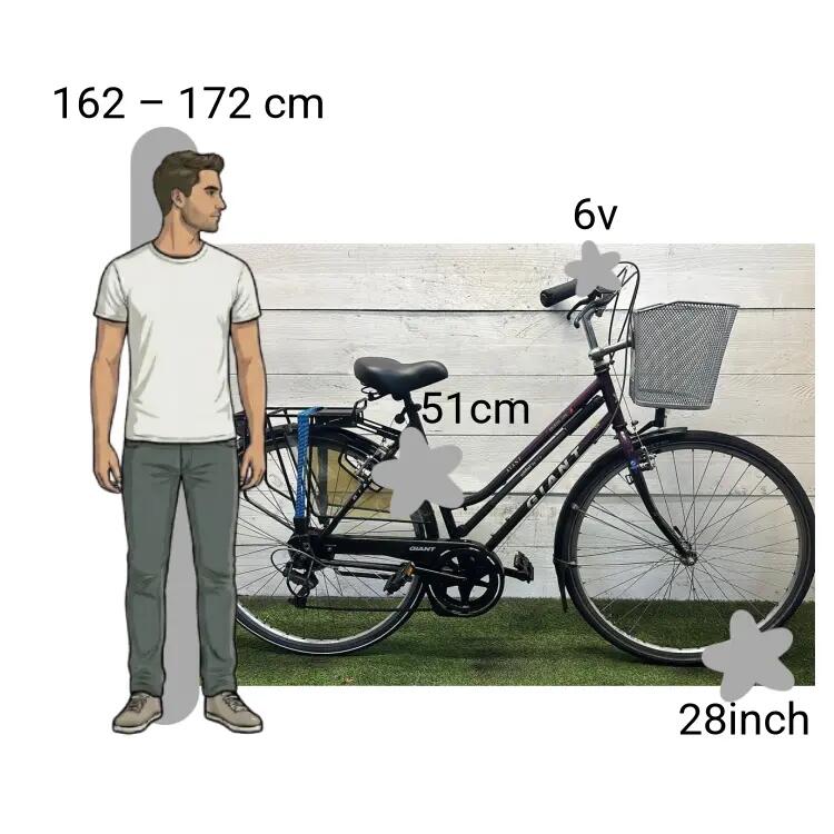Gebraucht Giant Avant 2/4