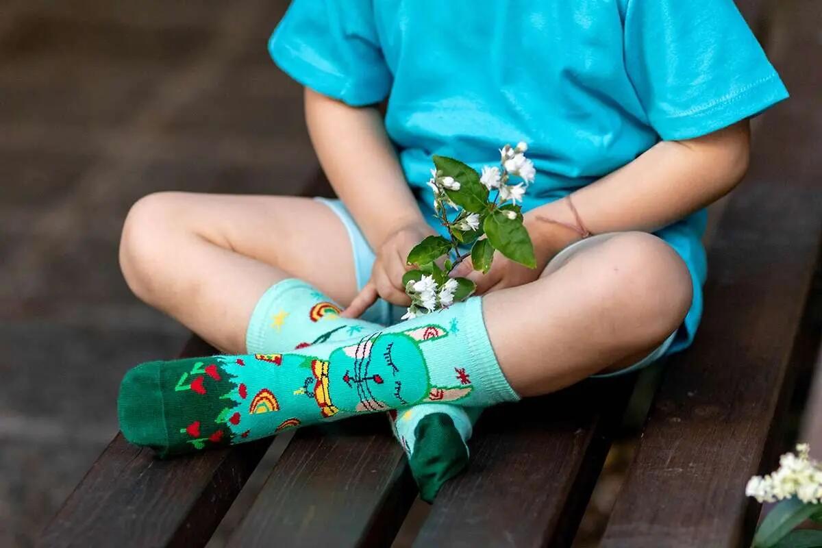 Șosete bumbac Arty Socks Pisica Hippie Albastru Pal 6/6
