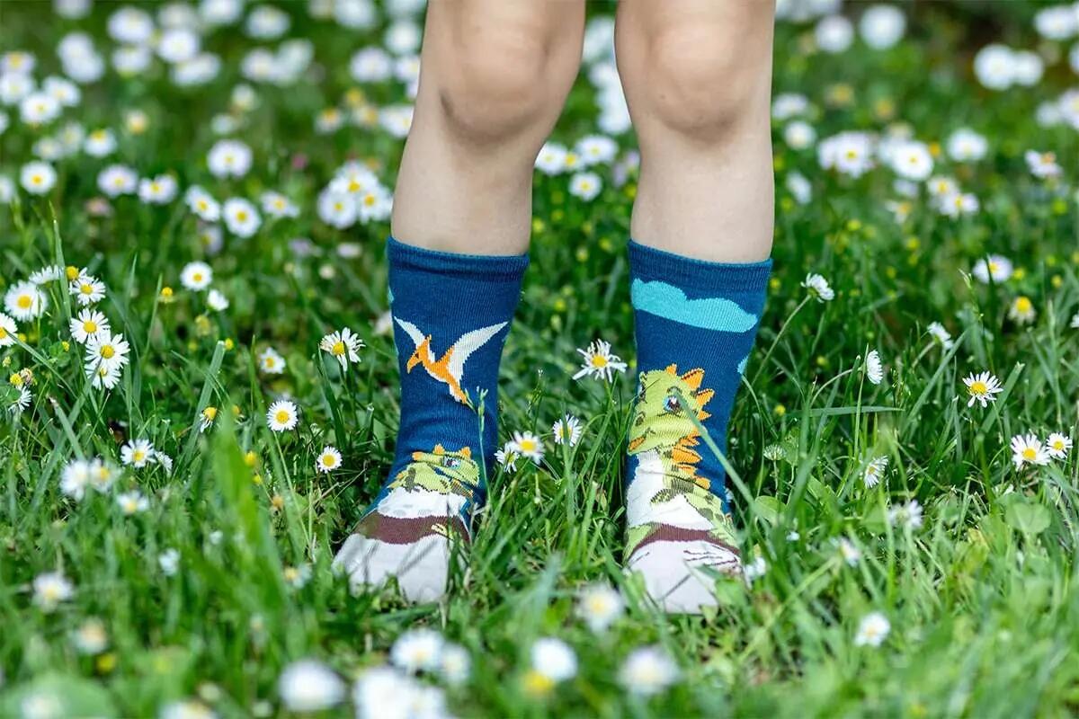 Șosete bumbac  Arty Socks cu Dinozaur Verde 5/6