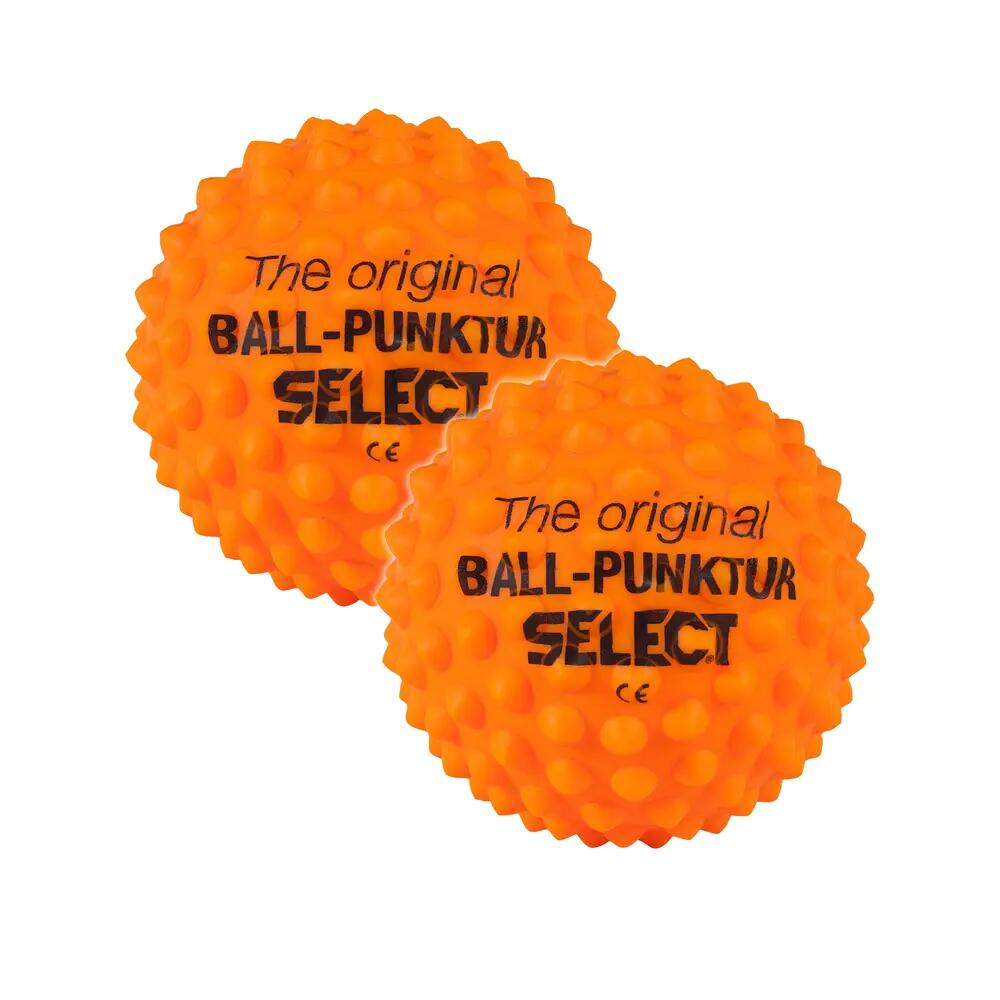 SELECT picture