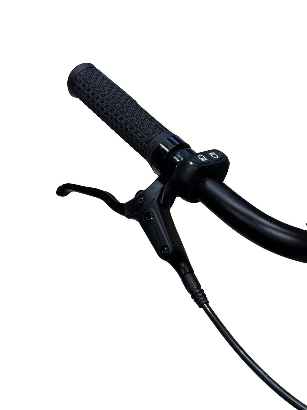 Reconditionné - Vélo électrique Tenways CGO800S Single-Speed - comme neuf 6/13