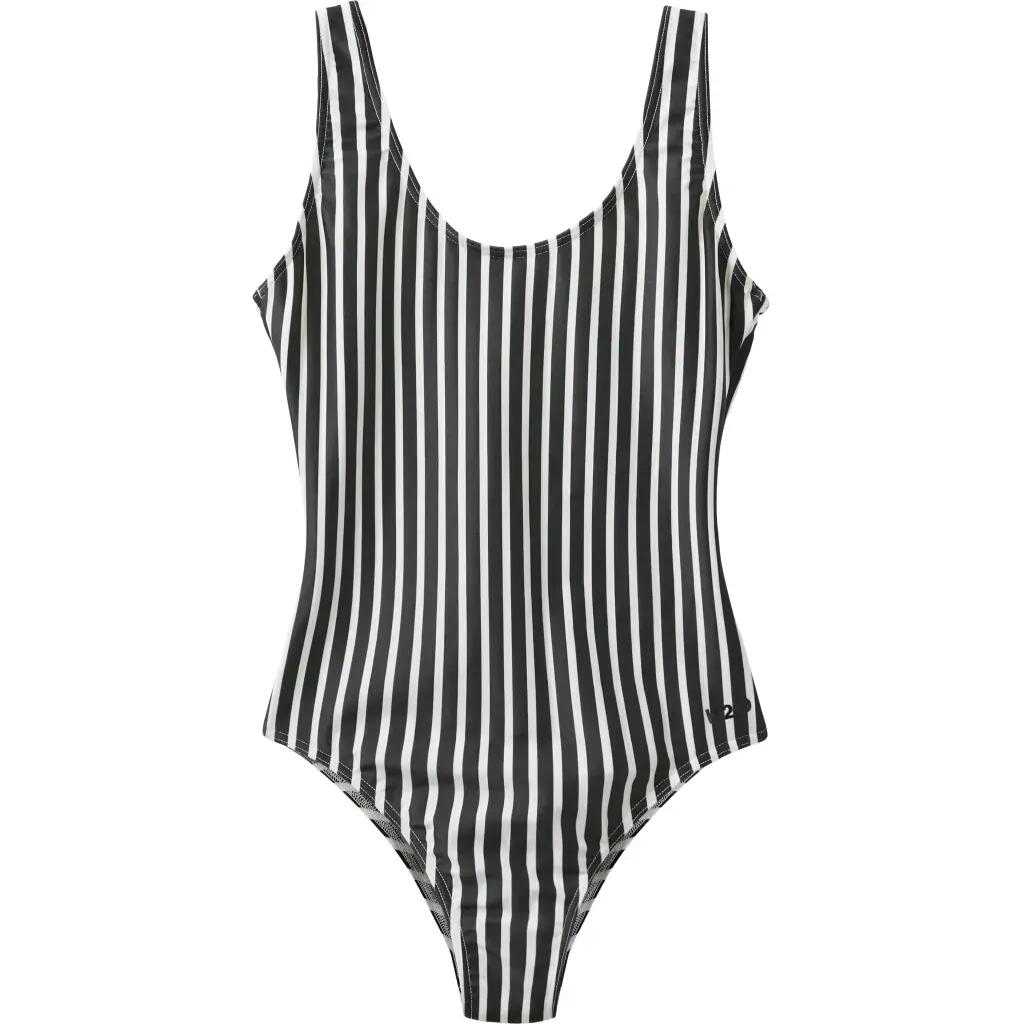 H2O picture