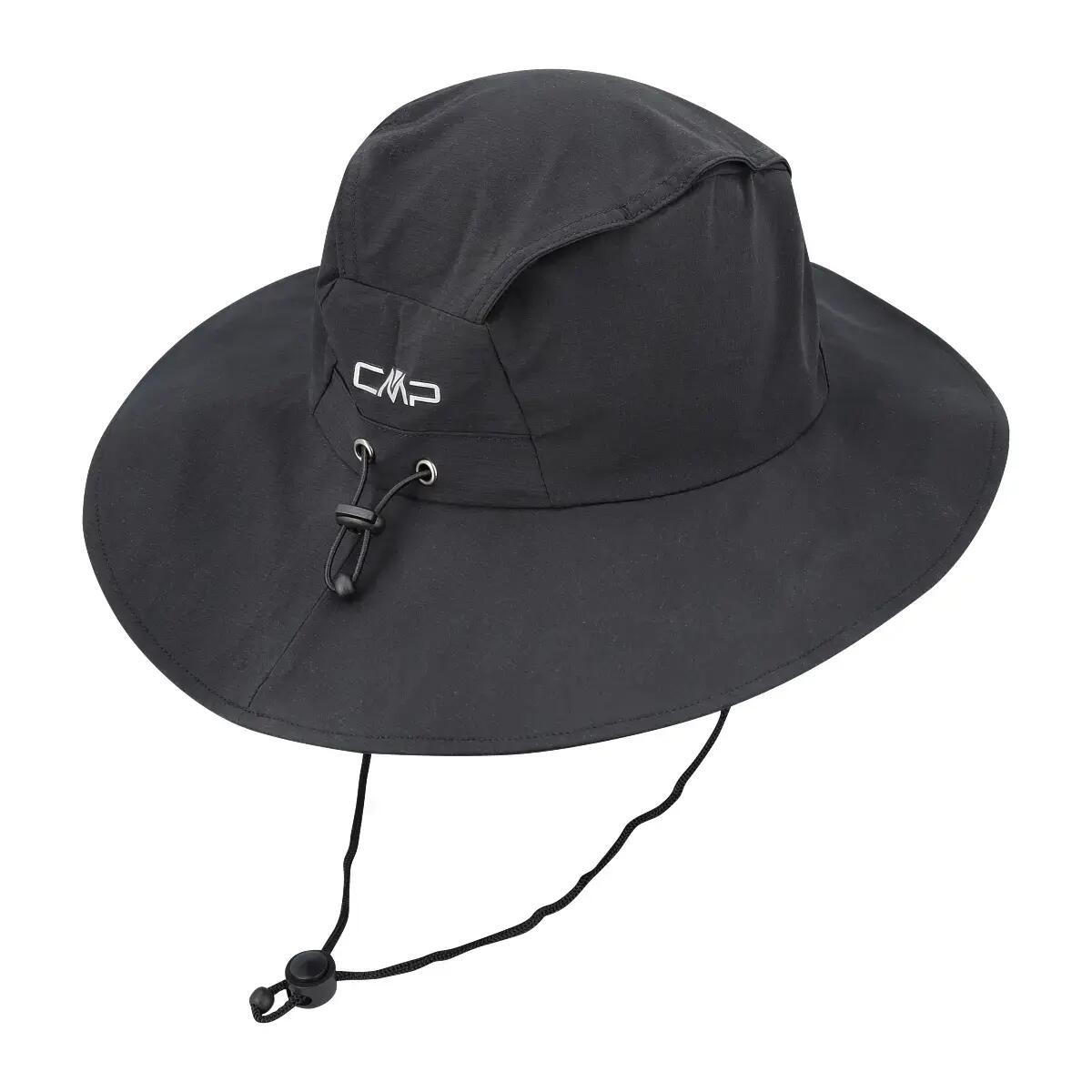 CMP picture