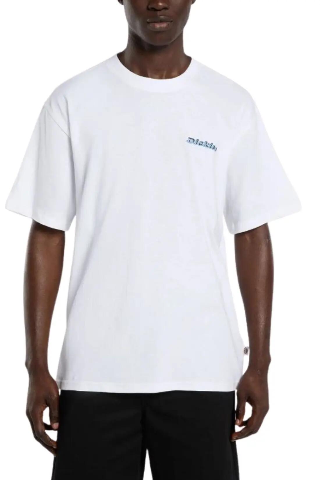 DICKIES picture