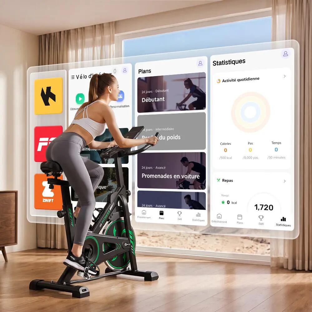 iscooter DC002A Heimtrainer, 6 kg Schwungrad, FitShow App 12/12