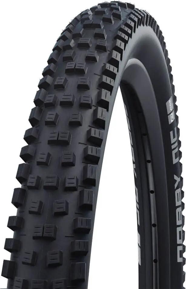 SCHWALBE picture