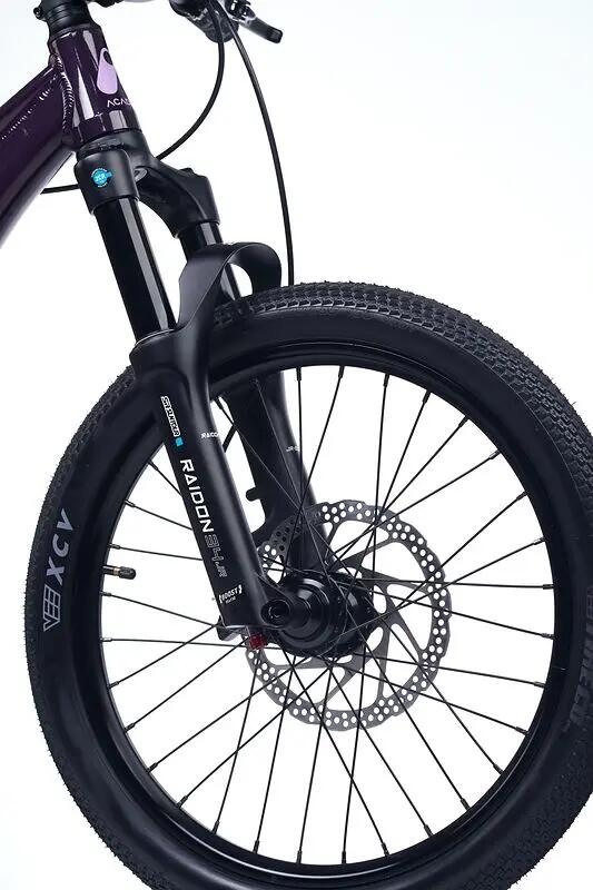 ACADEMY Pump 4 - 20 Zoll Kinder Dirtjump Bike Plum 4/6