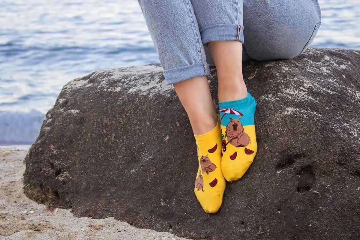 Rövid pamut zokni Arty Socks Capibara a strandon 6/6