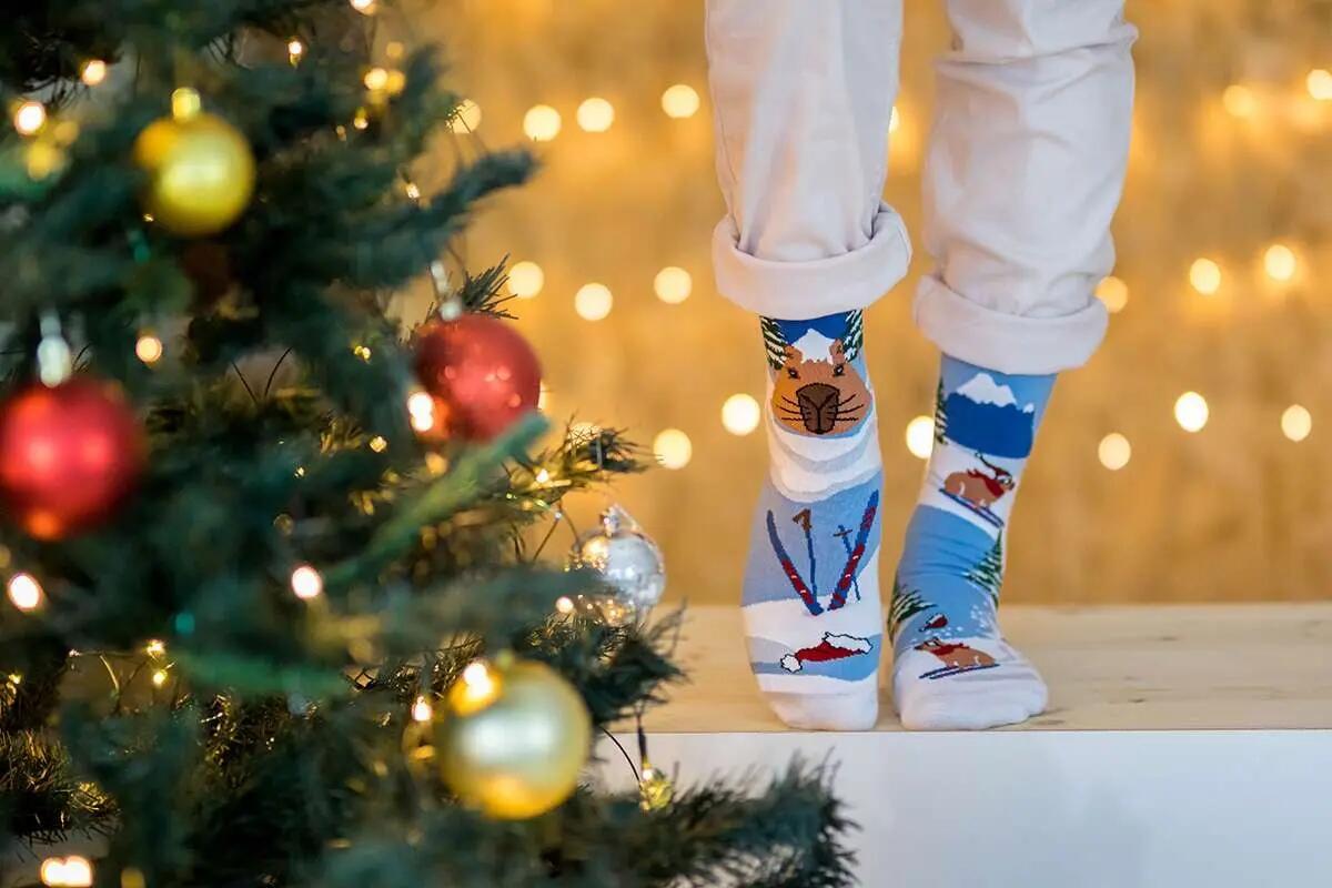 Arty Socks Capybara George Karácsonyi organikus pamut zokni Kék 2/5