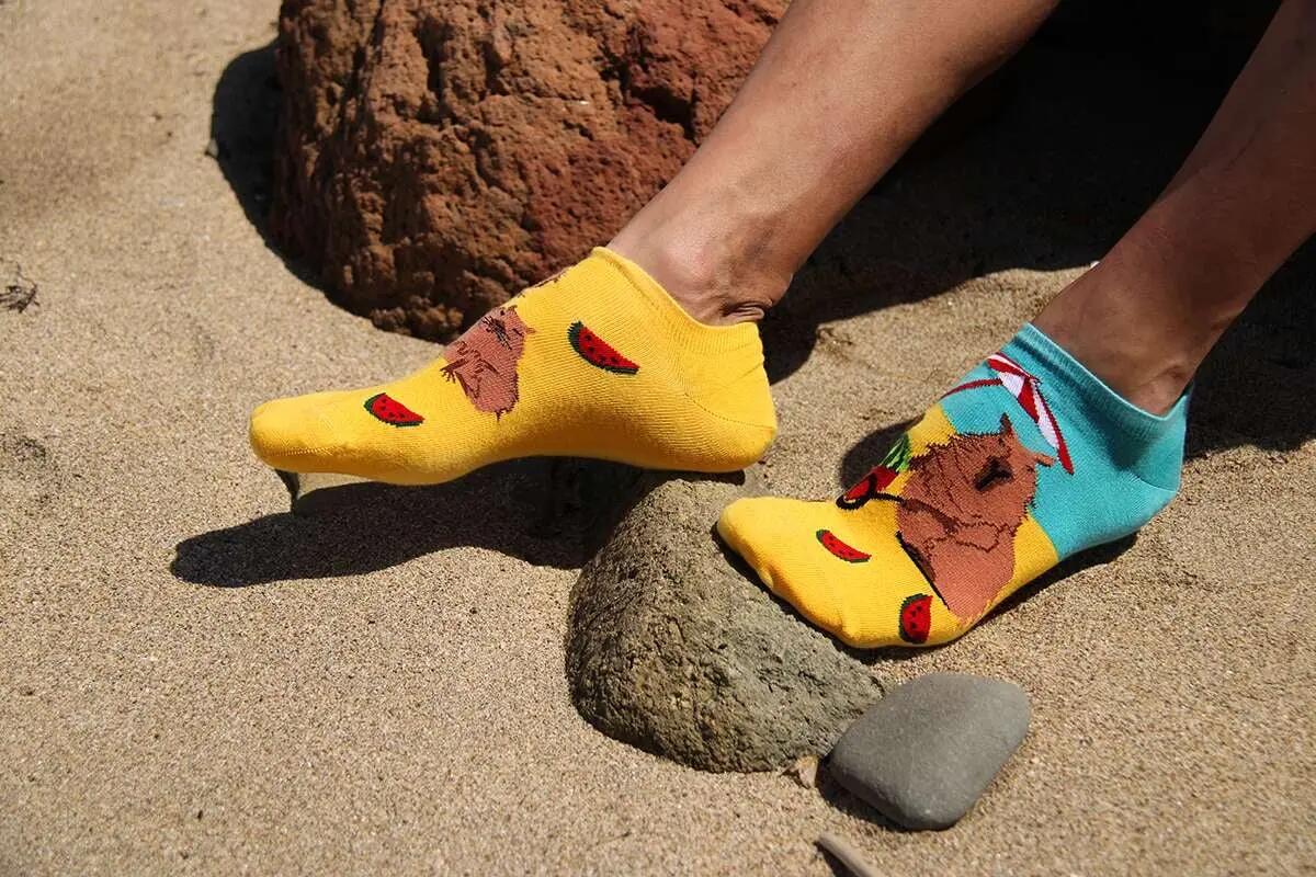 Rövid pamut zokni Arty Socks Capibara a strandon 3/6